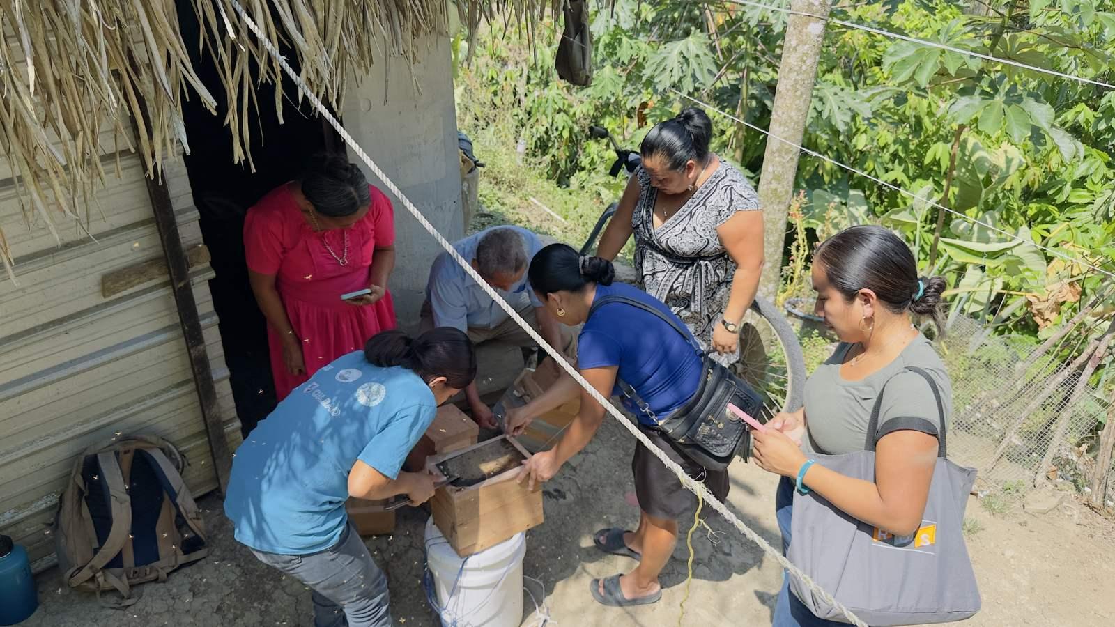 Komonil beetenders and community members examining a hive box outside a thatched workshop in Toledo, Belize